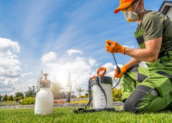 commercial pest control services