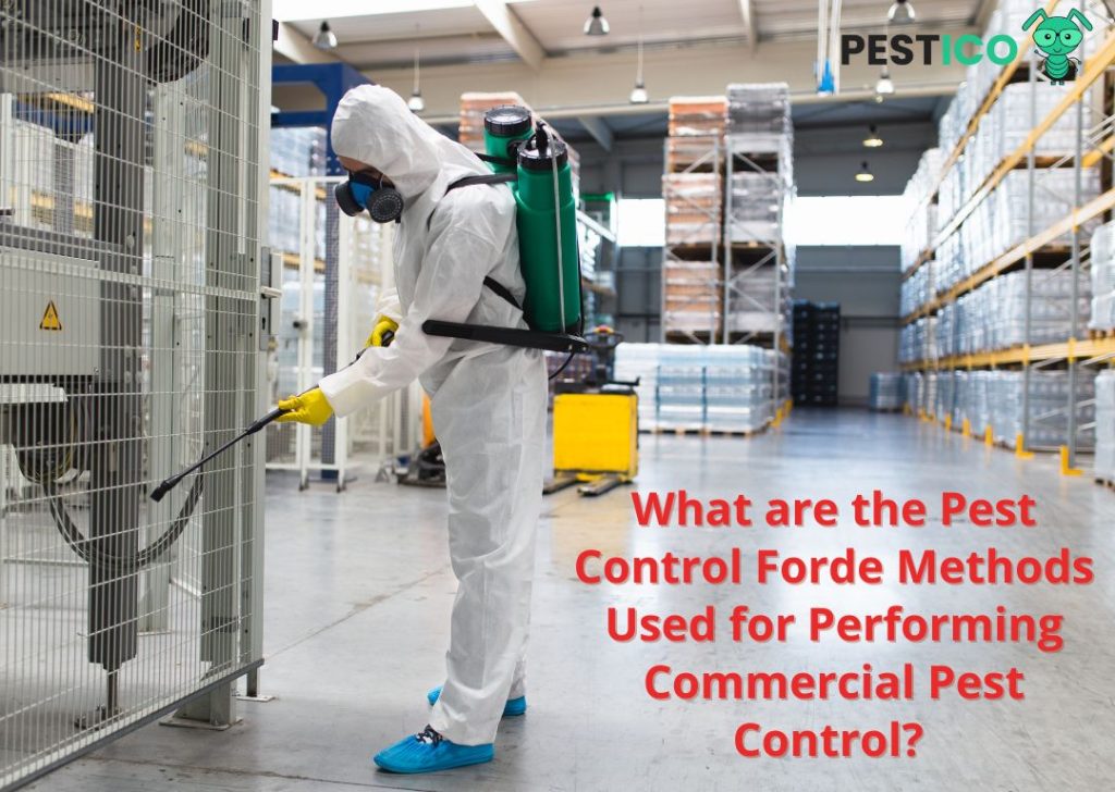 Performing Commercial Pest Control