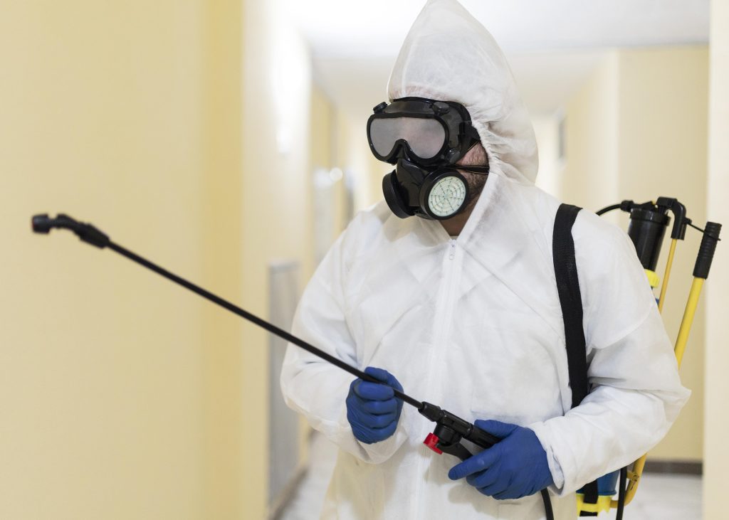 How to Get Rid of Pest Infestation 